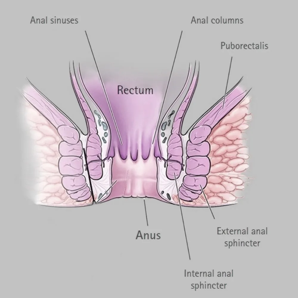 Modal showing Holey Tox